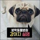 방학동물병원 이미지