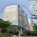 평화로09 이미지