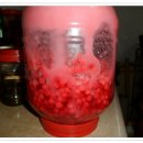 오미자 효소의 효능 이미지