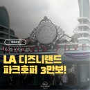 주식회사 클릭나라 | LA 디즈니랜드 파크호퍼 티켓 구매 완벽정리 +라이트닝레인 3만보 걷고 온 후기 동선팁