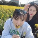 사계올레
