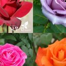 사계영농조합 이미지