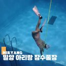 이마트24 밀양예림점 | 경남 다이빙풀 추천 밀양 아리랑 잠수풀장 이용방법·요금·리뷰 총정리