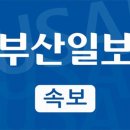 [속보] 경북소방 "오후 3시 기준 사망 14명, 실종 11명"…경북지사 "가용 자원 총동원"(냉무) 이미지