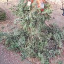 시곡공원 이미지