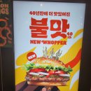 버거킹 와퍼 단종 뉴와퍼버거 솔직후기