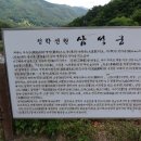 2026년 5월 25일(월요일 대체휴일) 하동 청학동+편백휴양+배달성전 삼성궁+다소랑정원+편백자연휴양림을 둘러보는 당일 투어 이미지