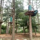 고산자연휴양림 이미지