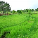 악양생태공원 이미지