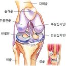 성모정형외과 이미지