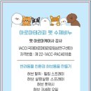 에코아로마공주