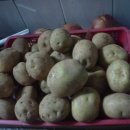 밀물민박 이미지