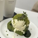 [서울숲역 카페] 프렌치토스트 테린느 맛집 어라운드데이 솔직 후기 / 애견동반 카페