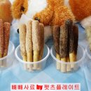 펫츠데이