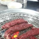 순한우암소한마리 이미지