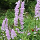 춘하추동민박 이미지