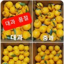 집나간왕새우바람난조개연동점