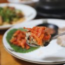 참치연 이미지