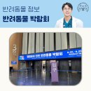 위니펫동물병원 | 2025 펫앤모어 인천 송도 반려동물 박람회 후기
