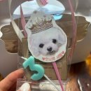 반려반상 이미지