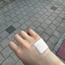음식 블로거 해도 될 듯