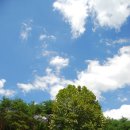 휘림캠핑장 이미지