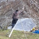 나금이네 이미지