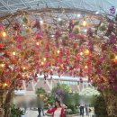 꽃이랑개랑 | 2026 고양국제꽃박람회 일정 총정리, 2025 방문 후기 (실내·야외 전시, 체험)