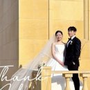 영식축사 이미지