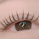 르베르뷰티&아카데미 이미지