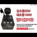 해초롱 이미지