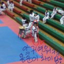 용운태권도 이미지