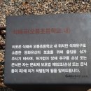 오릉초 이미지