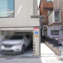 살롱율