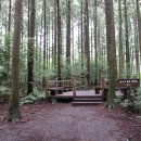 한라산둘레길 사려니숲길 이미지