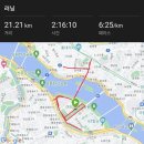 풍년식당1979서 | 2024 국제국민마라톤 하프완주 후 여의도 풍년식당 1979