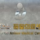 위더스동물의료센터 이미지