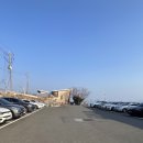 몰리힐스(MOLLI HILLS)