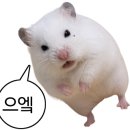 까치산장