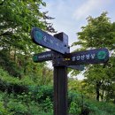 연화산민박 | 망일지맥 20210502(일) 성2리버스정류장-비룡산-망일산-벌천포선착장
