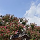 화산서원 | 사찰과는 다른 매력과 아름다움이 있는 곳, 안동 아이랑 갈만한 곳, 도산서원과 병산서원