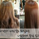 파란헤어 강남본점에서 복구염색, 효과 대박이에요!