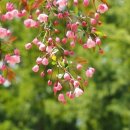 벧엘요양병원 이미지