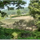 유복립 묘 이미지