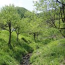 산적소굴 이미지