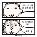 디어하루