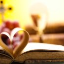 바다의별 이미지