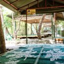 개나리산장 이미지