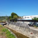 통나무촌 막국수 이미지