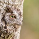 (주)오드와 이미지